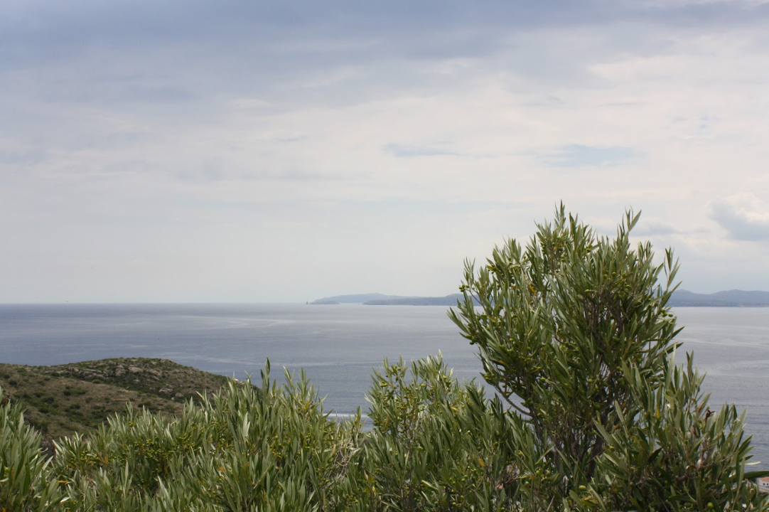 El Aceite de Oliva en la Dieta Mediterránea