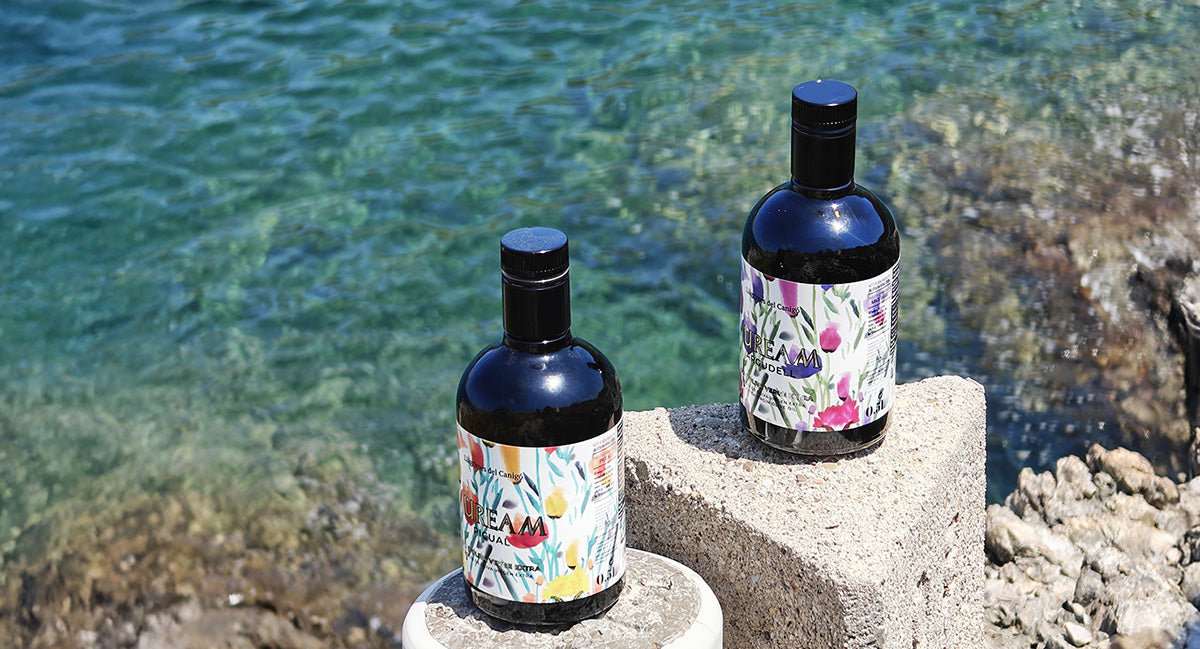 El aceite de oliva de la Costa Brava: tradición mediterránea y carácter propio