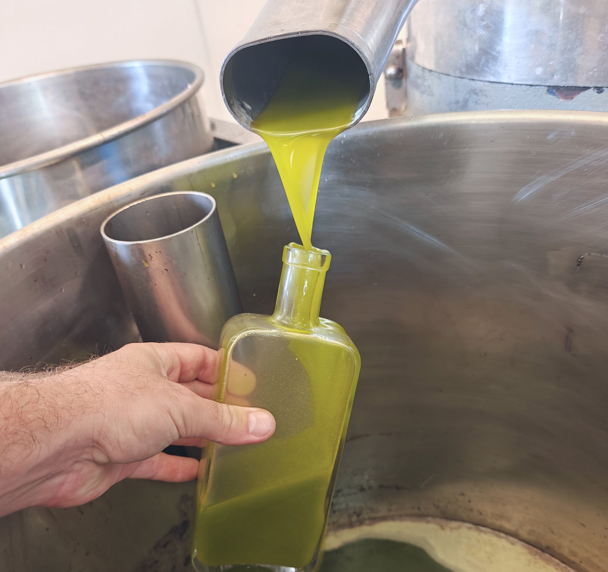 ACEITE DE OLIVA COSTA BRAVA - OLI ARGUDELL EMPORDA