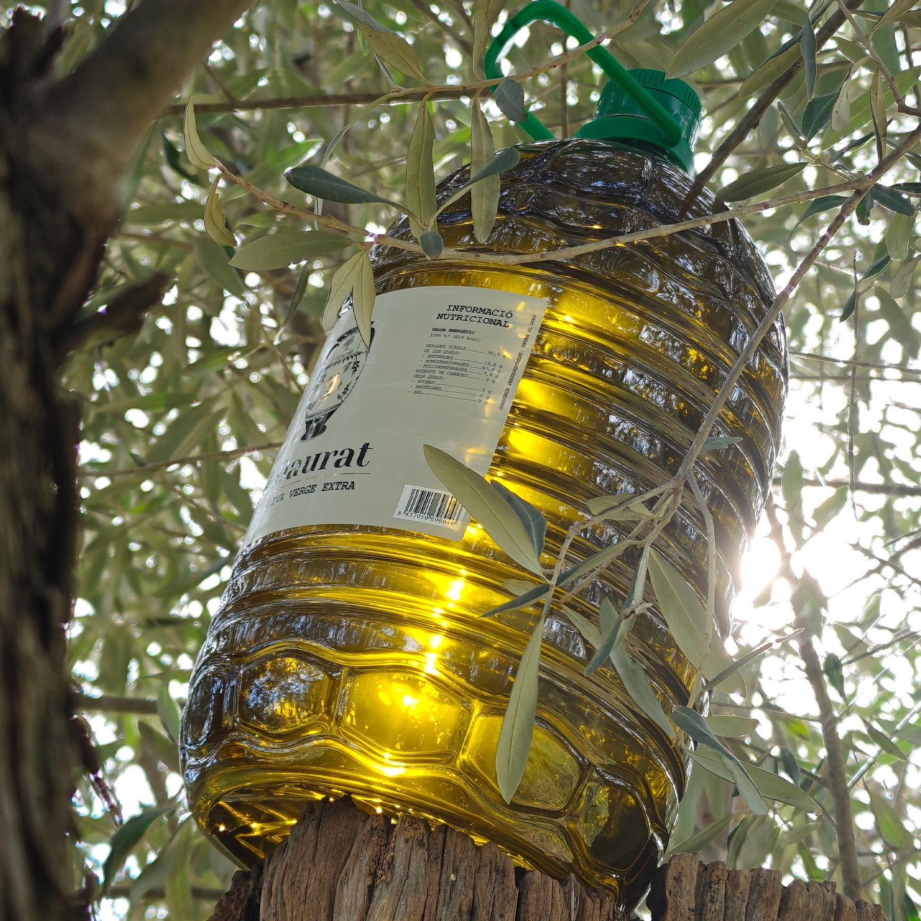 El Daurat 5L - Oli d'Oliva Verge Extra Premium de la Costa Brava en Garrafa de 5 Litres