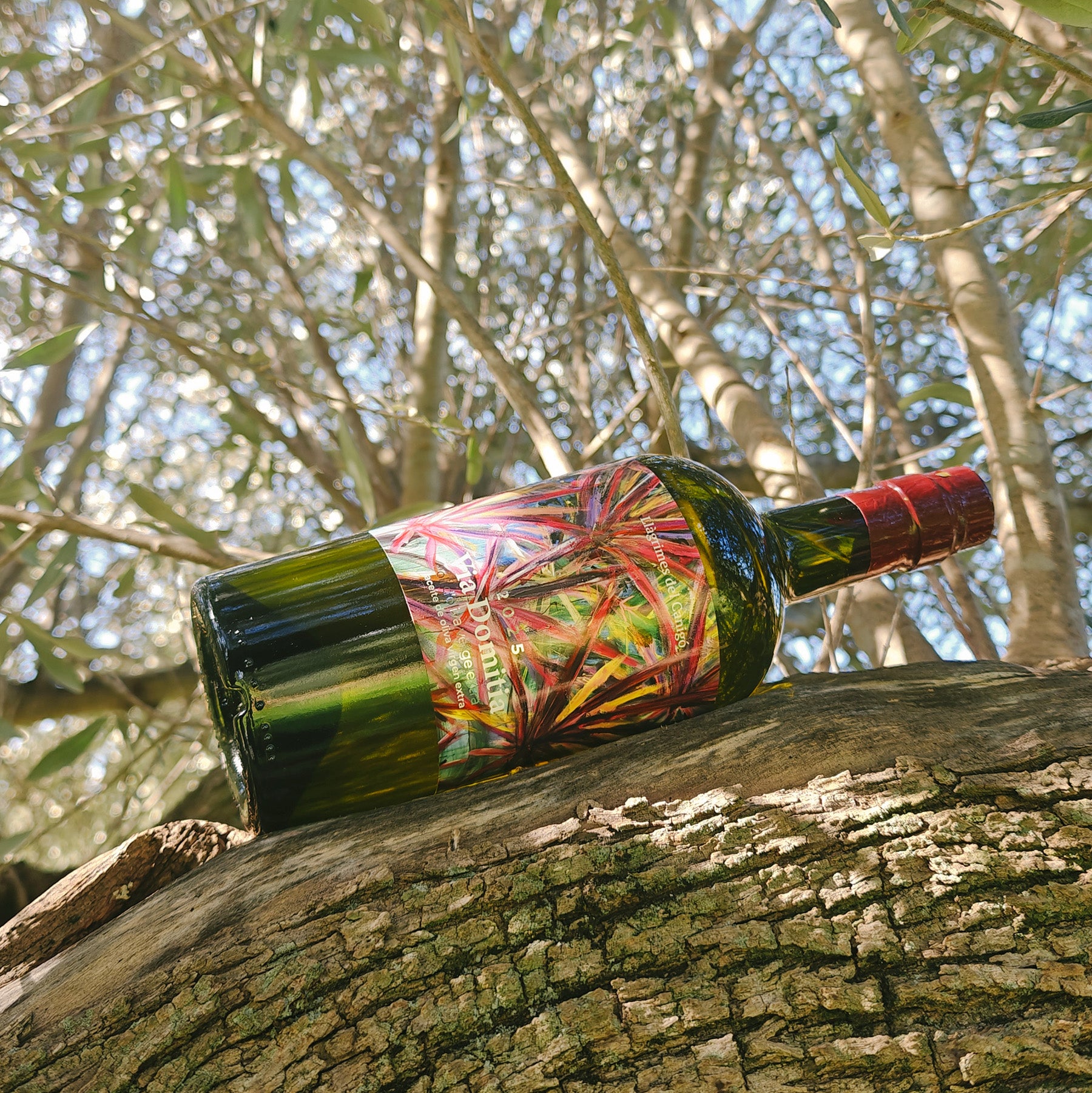 Via Domitia 2026 - Oli d'Oliva Verge Extra Premium 0,75L