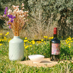 Via Domitia 2026 - Oli d'Oliva Verge Extra Premium 0,75L