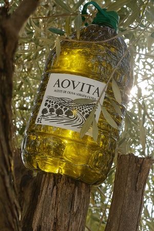 Aceite de Oliva Virgen Extra Premium AOVITA 5 Litros – Calidad Gourmet al Mejor Precio